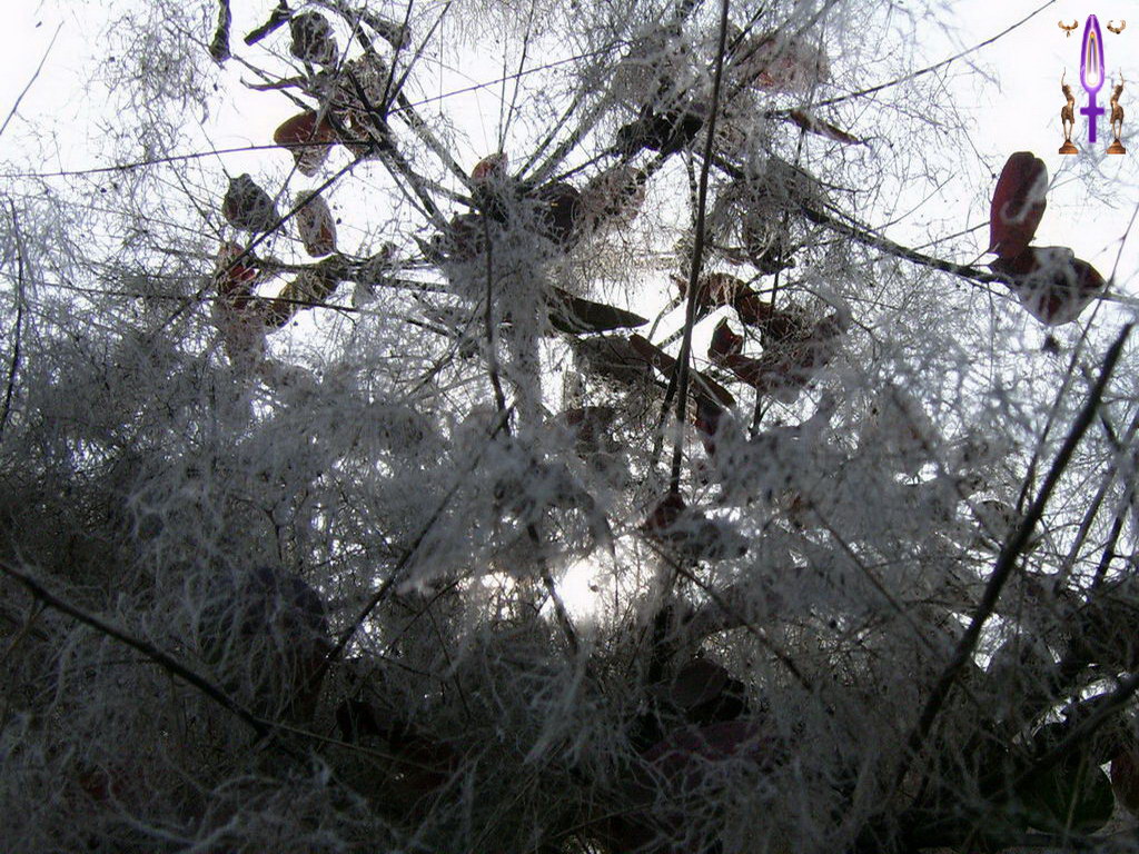 Croix de Lumière, Photo de la Série A No 2 