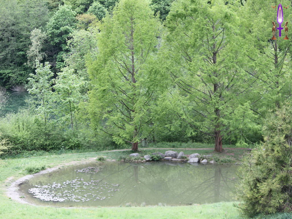 Croix de Lumière, Photo de la Série A No 7 