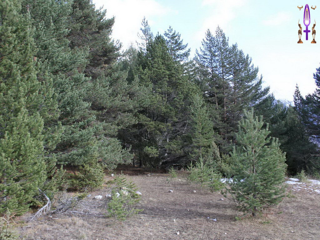 Croix de Lumière, Photo de la Série A No 8 