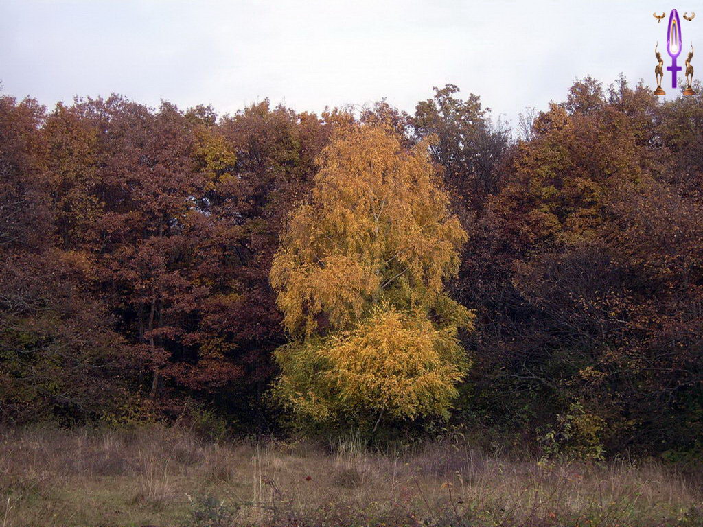 Cliquez sur la Photo pour quitter le Diaporama et Ouvrir la Photo correspondante...