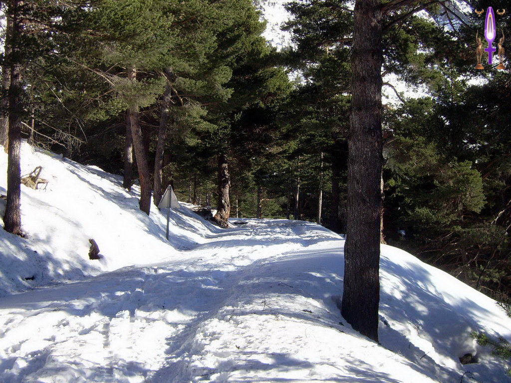 Croix de Lumière, Photo de la Série A No 15 