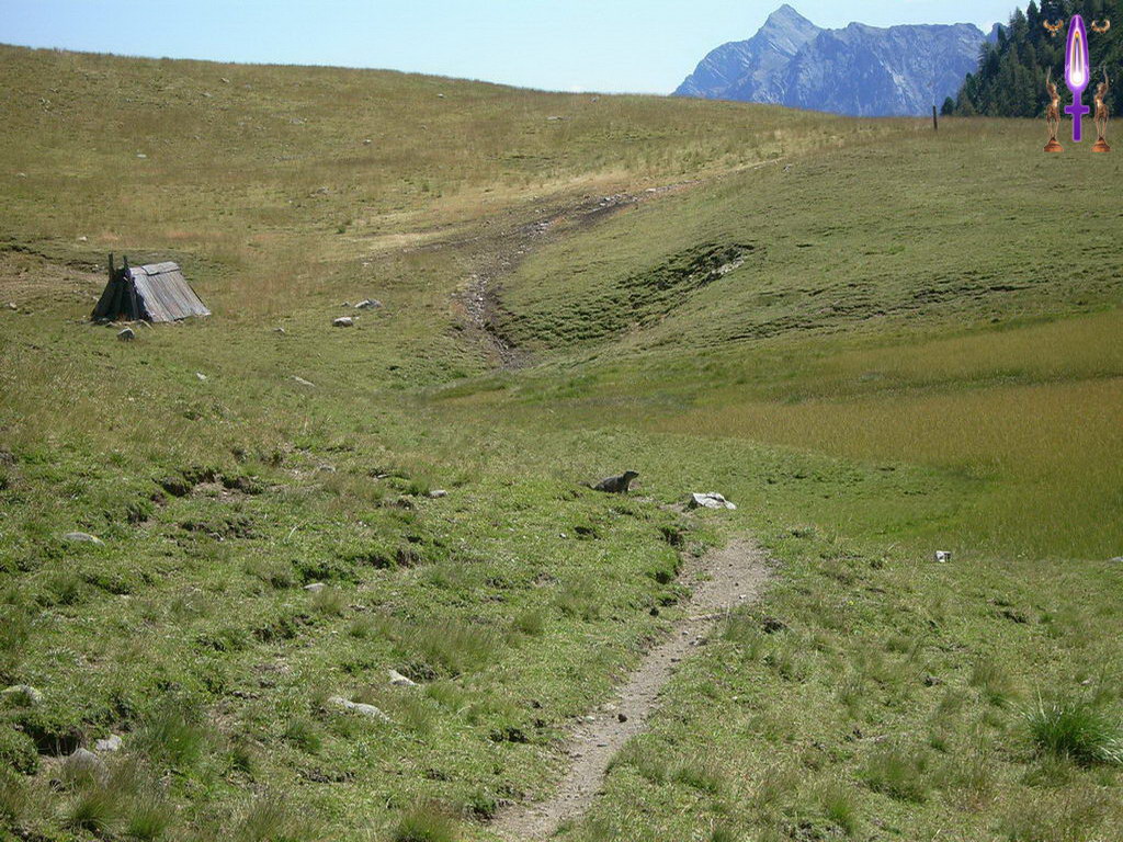 Croix de Lumière, Photo de la Série A No 16 