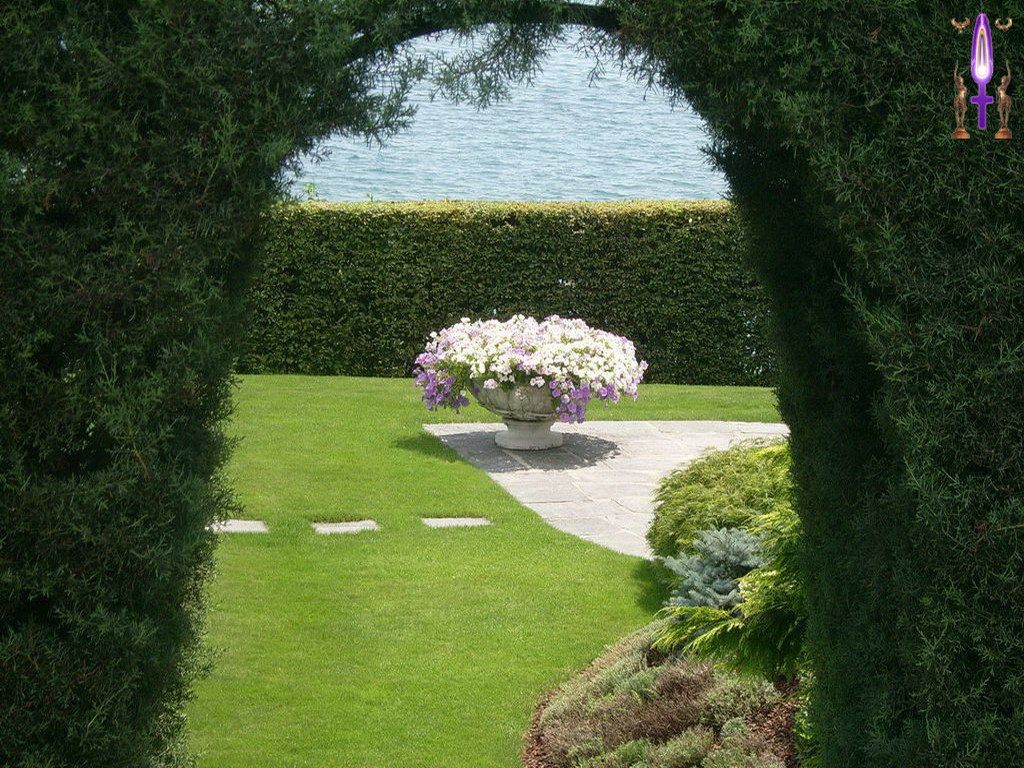 Croix de Lumière, Photo de la Série A No 19 