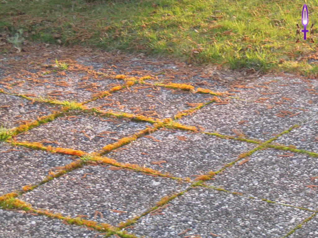 Croix de Lumière, Photo de la Série A No 22 