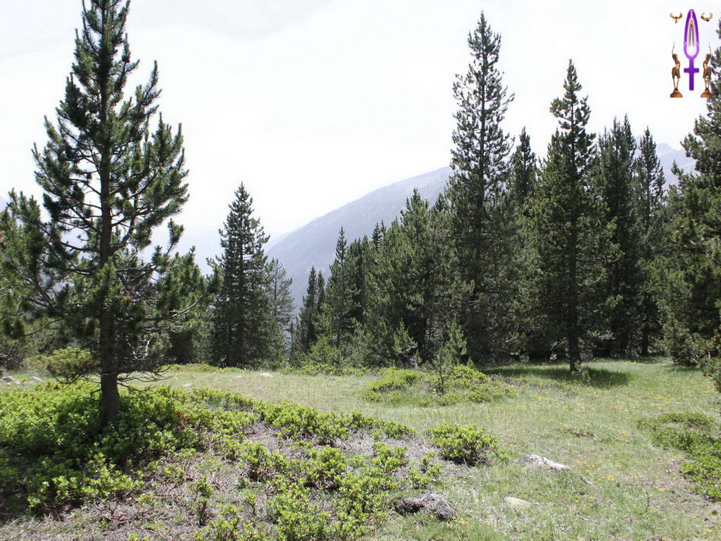 Croix de Lumière, Photo de la Série A No 29 