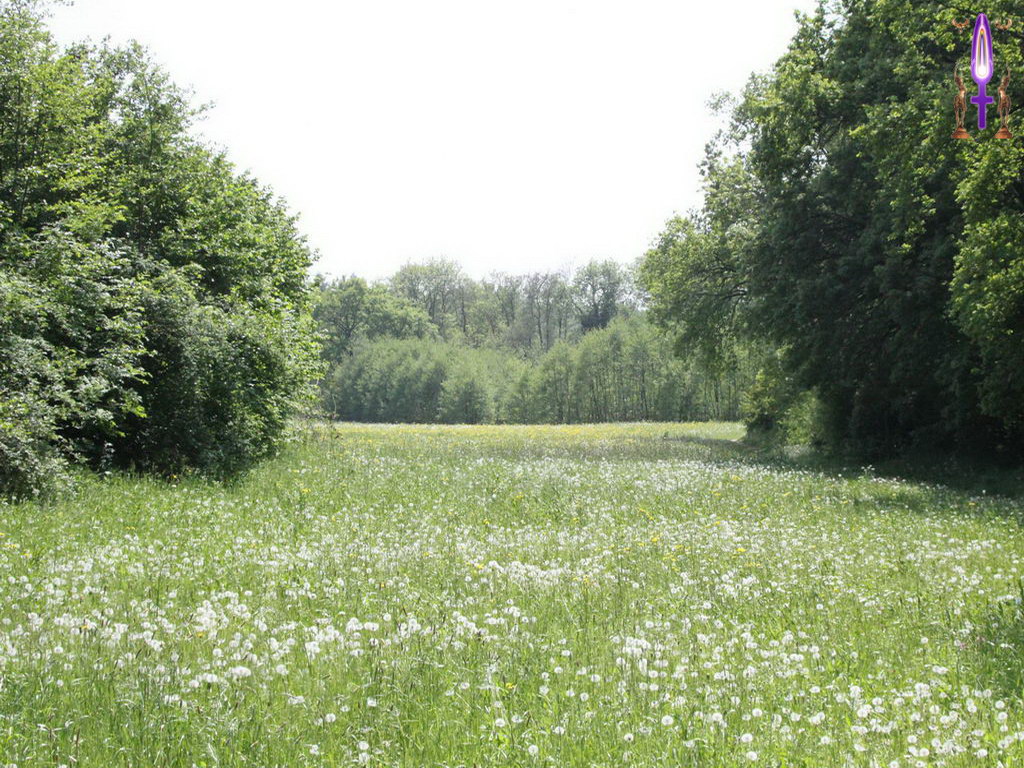 Croix de Lumière, Photo de la Série A No 32 