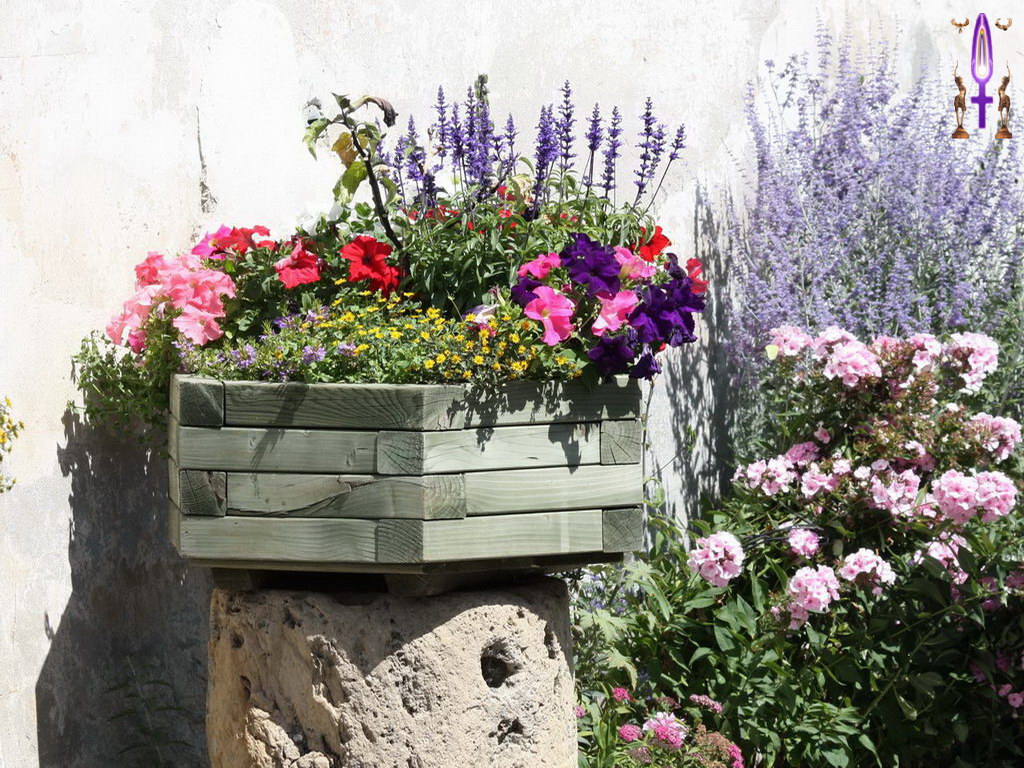 Croix de Lumière, Photo de la Série A No 33 