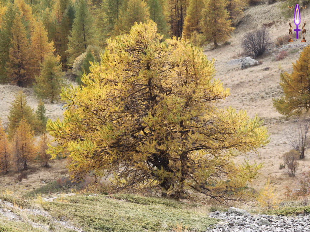Croix de Lumière, Photo de la Série A No 35 