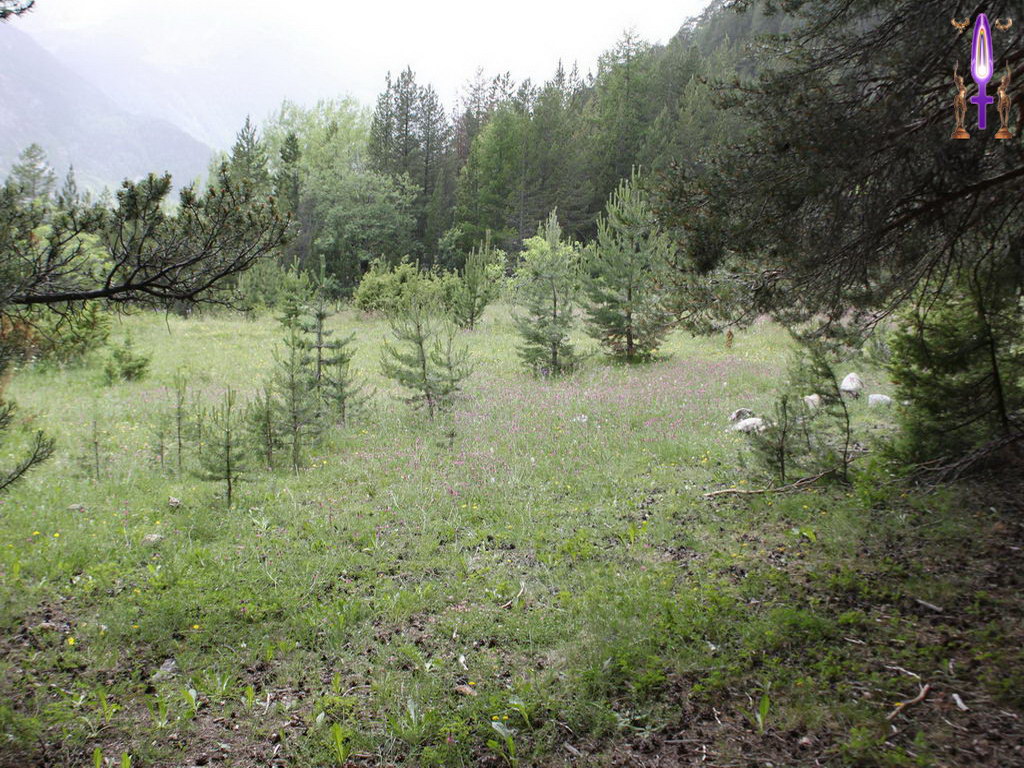 Croix de Lumière, Photo de la Série A No 38 