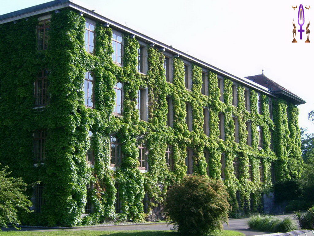 Cliquez sur la Photo pour quitter le Diaporama et Ouvrir la Photo correspondante...