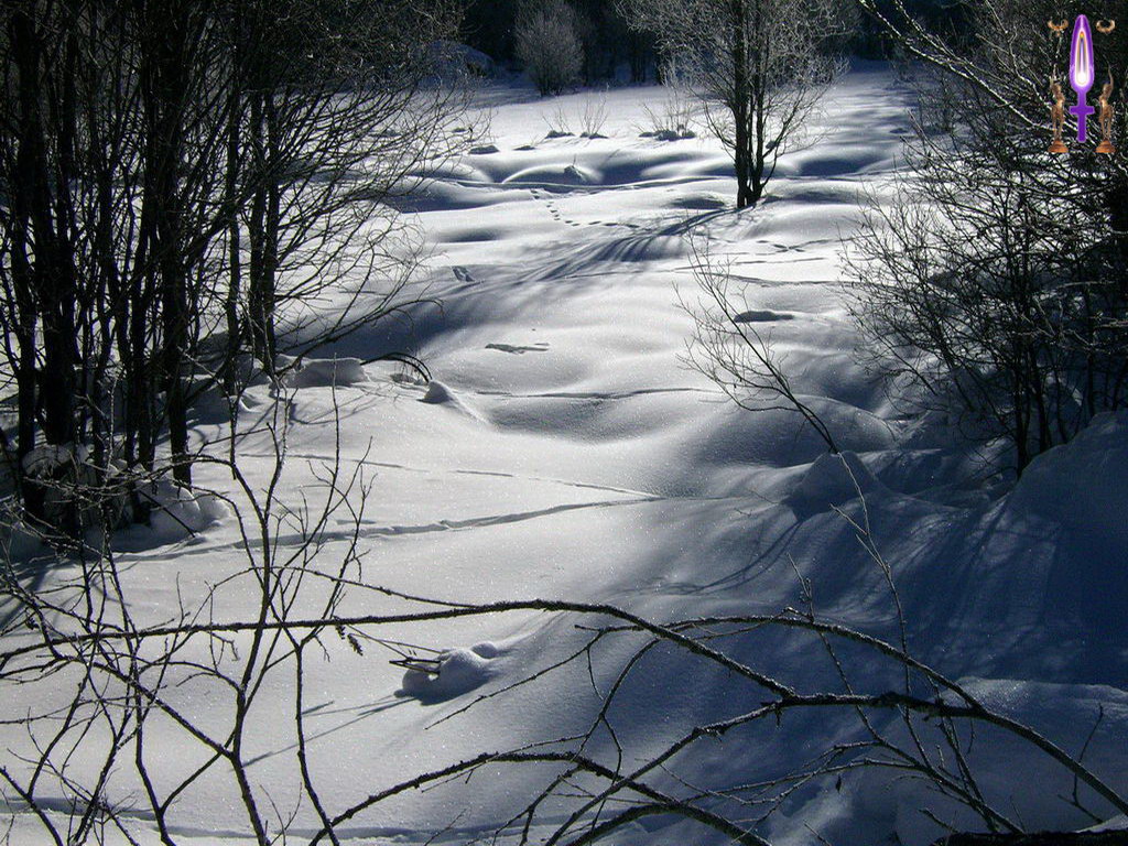Croix de Lumière, Photo de la Série A No 42 
