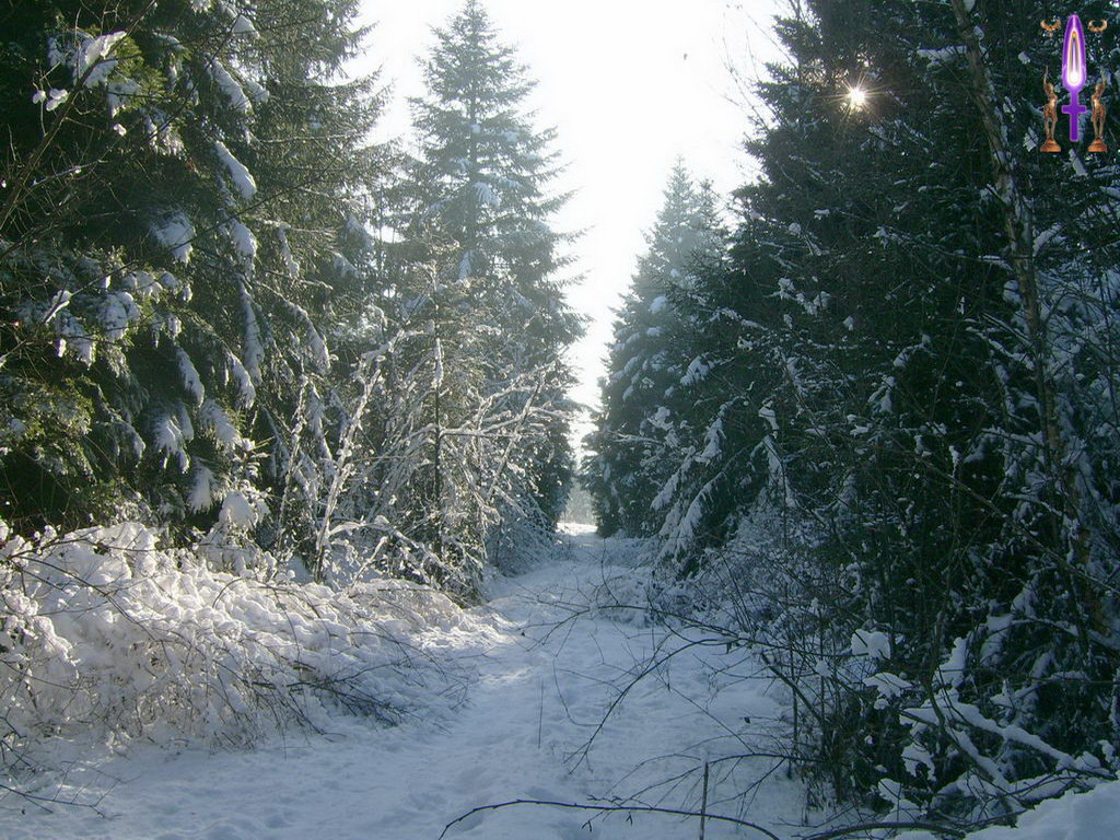 Croix de Lumière, Photo de la Série A No 43 