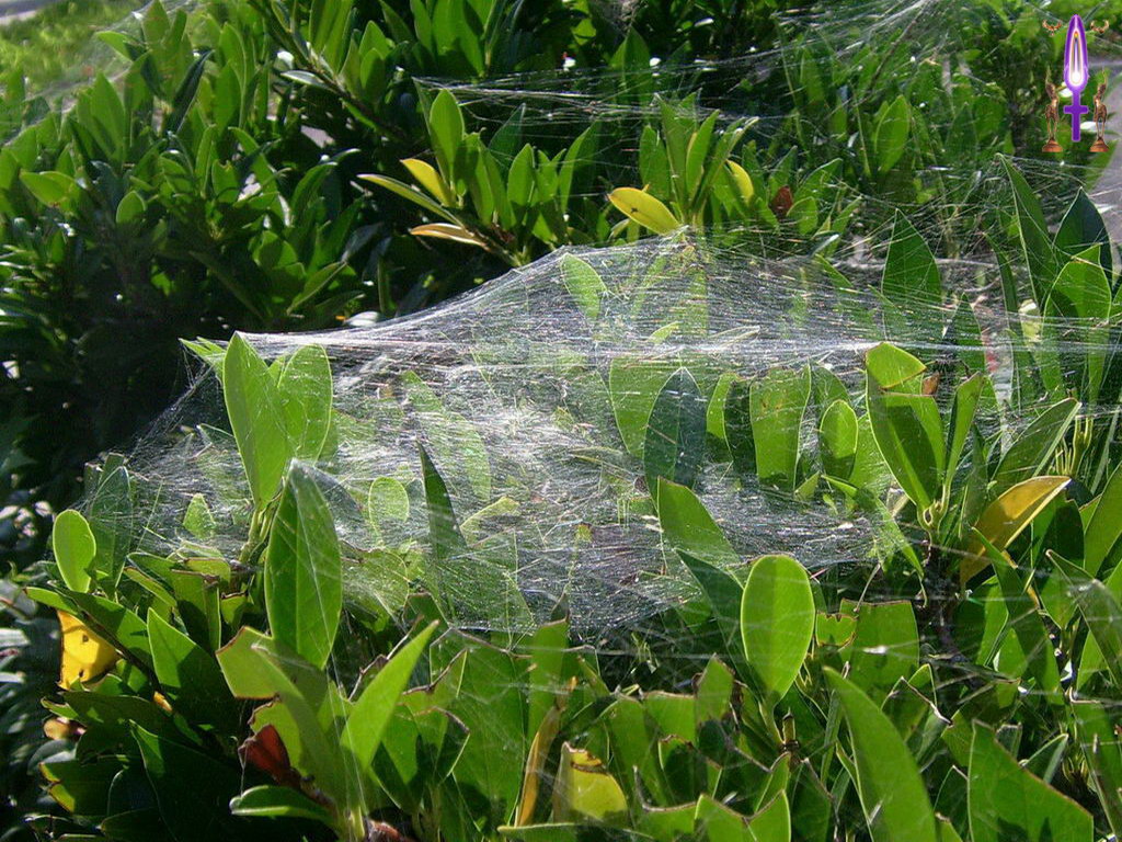 Cliquez sur la Photo pour quitter le Diaporama et Ouvrir la Photo correspondante...