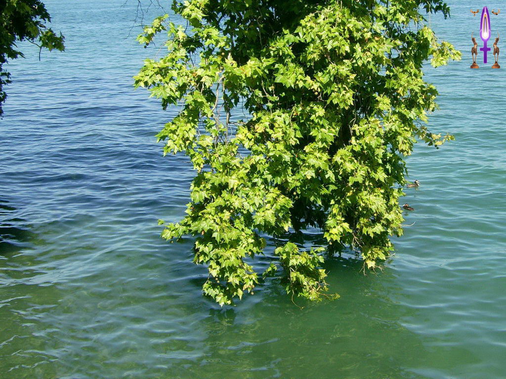 Cliquez sur la Photo pour quitter le Diaporama et Ouvrir la Photo correspondante...