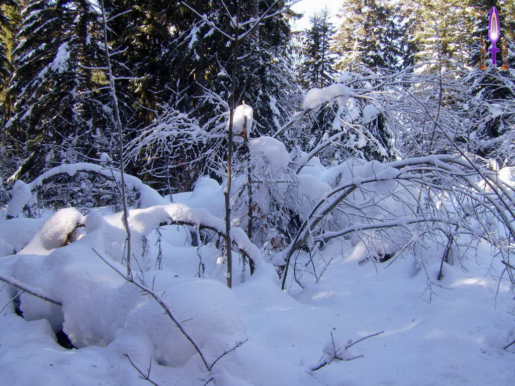 Cliquez sur la Photo pour quitter le Diaporama et Ouvrir la Photo correspondante...