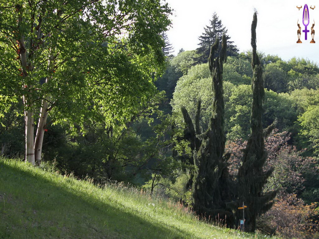 Croix de Lumière, Photo de la Série A No 58 
