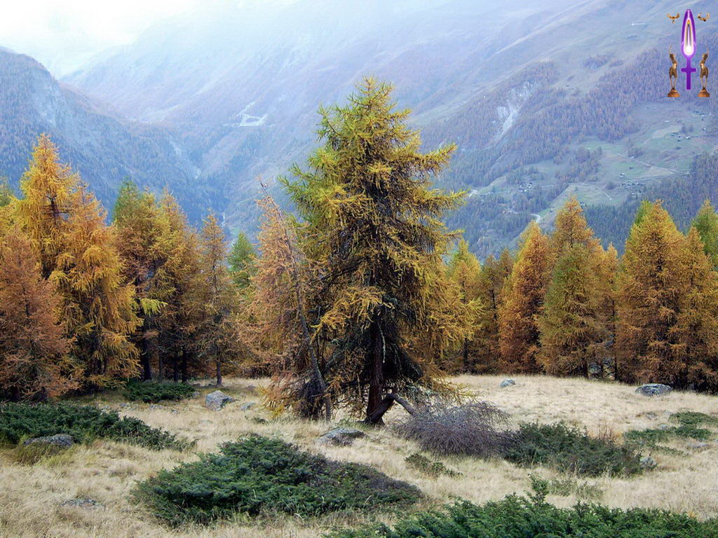 Croix de Lumière, Photo de la Série A No 59 