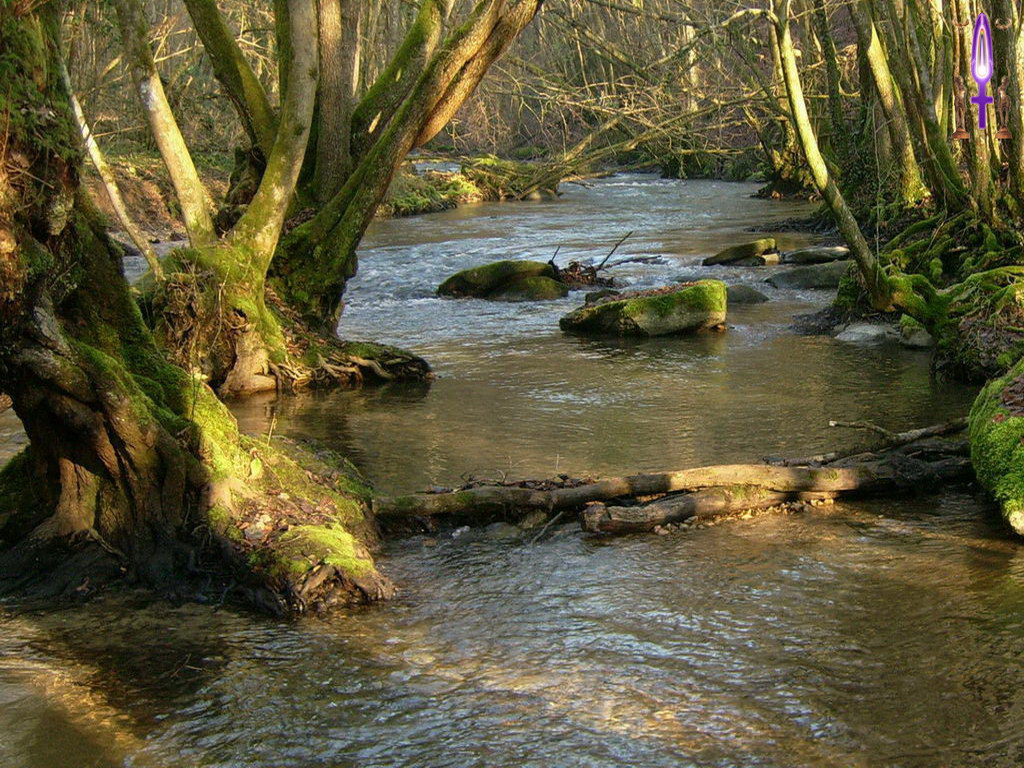 Croix de Lumière, Photo de la Série A No 65 