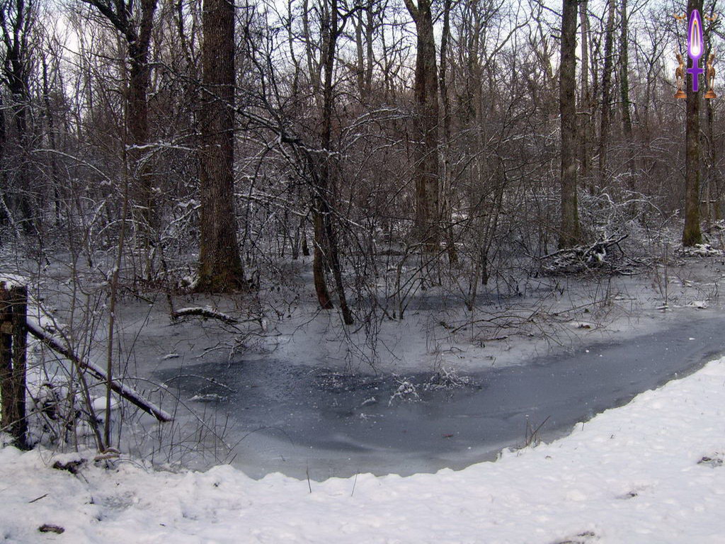 Croix de Lumière, Photo de la Série A No 67 