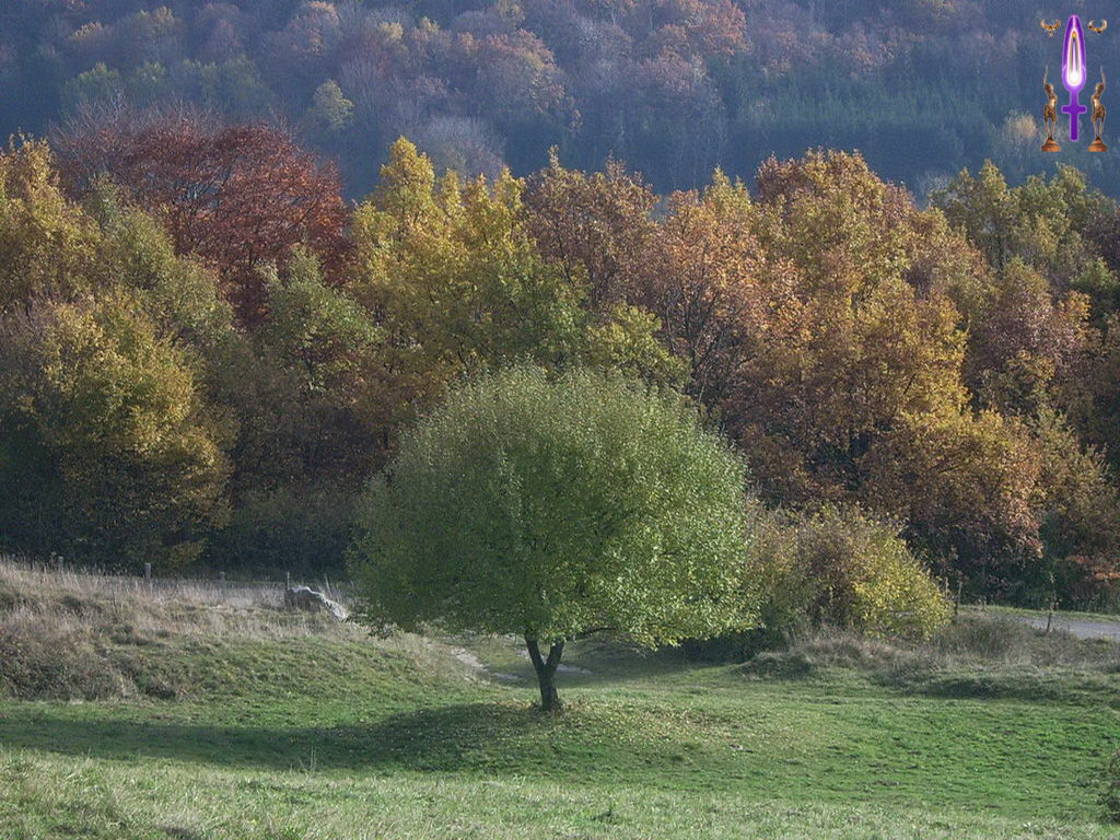Cliquez sur la Photo pour quitter le Diaporama et Ouvrir la Photo correspondante...
