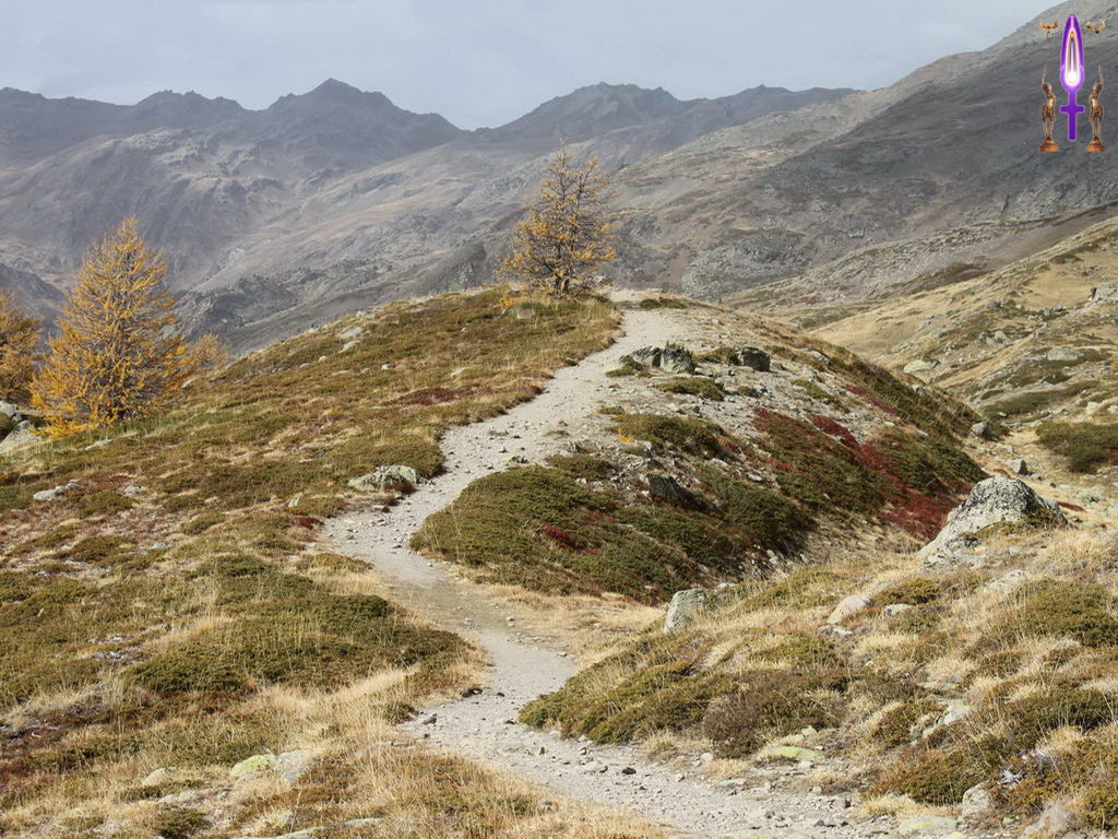 Croix de Lumière, Photo de la Série A No 72 