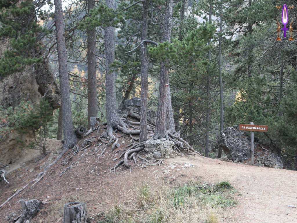 Cliquez sur la Photo pour quitter le Diaporama et Ouvrir la Photo correspondante...