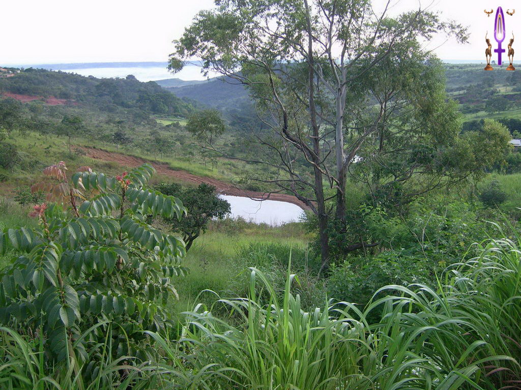 Cliquez sur la Photo pour quitter le Diaporama et Ouvrir la Photo correspondante...