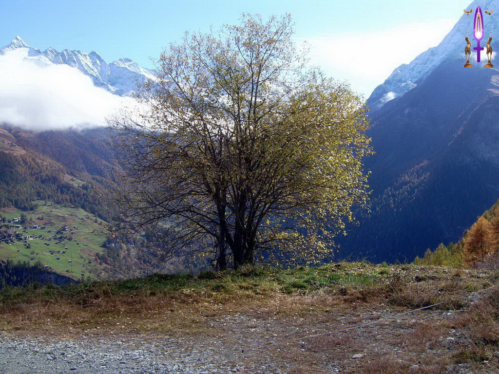 Croix de Lumière, Photo de la Série A No 83 
