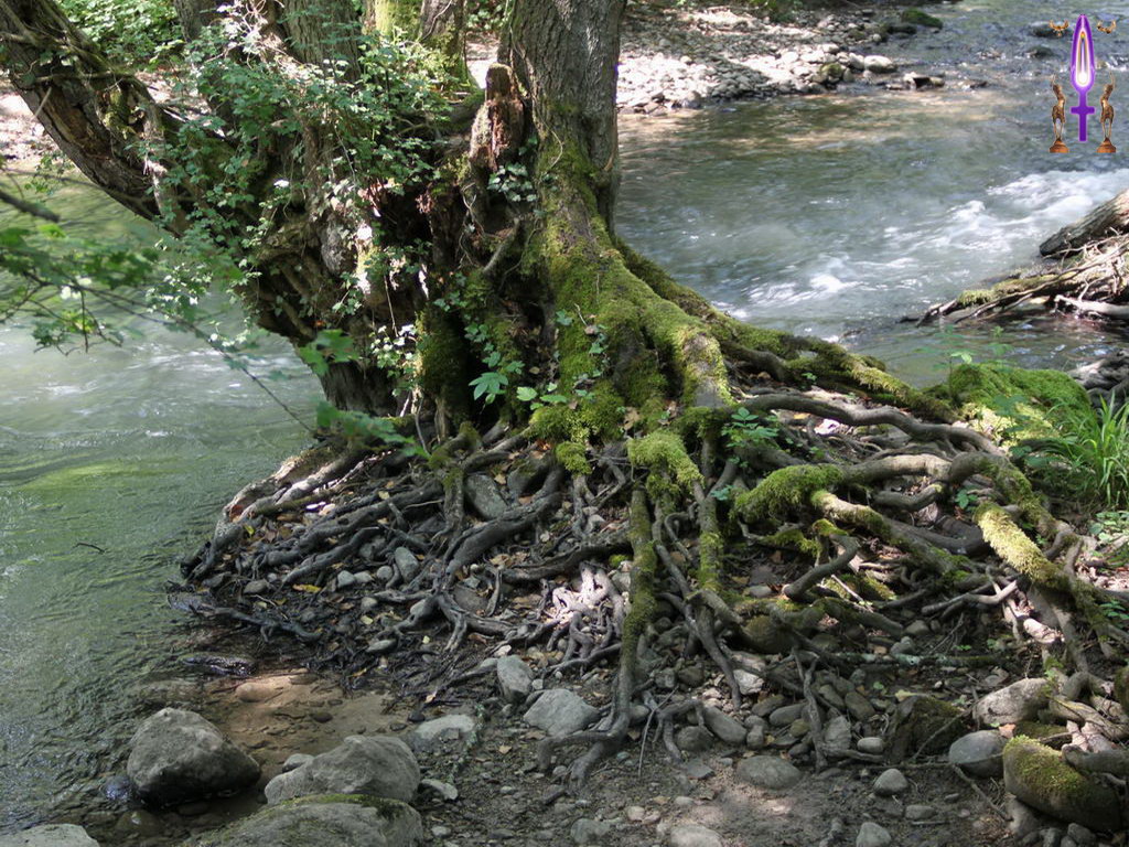 Croix de Lumière, Photo de la Série A No 84 
