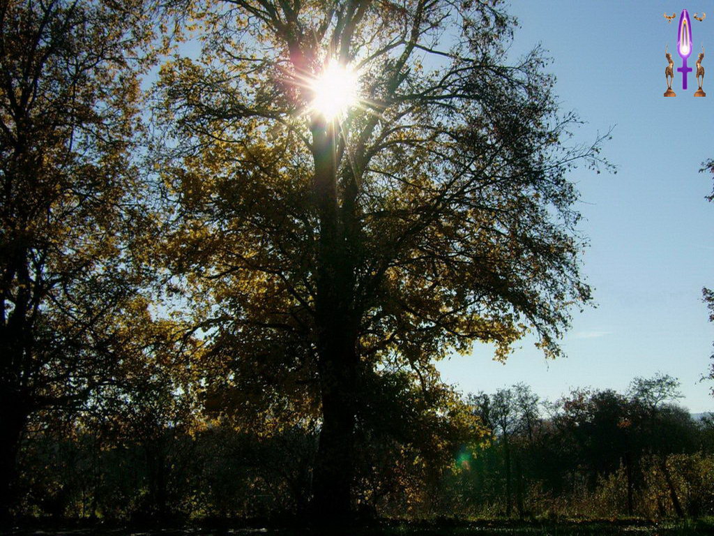 Cliquez sur la Photo pour quitter le Diaporama et Ouvrir la Photo correspondante...