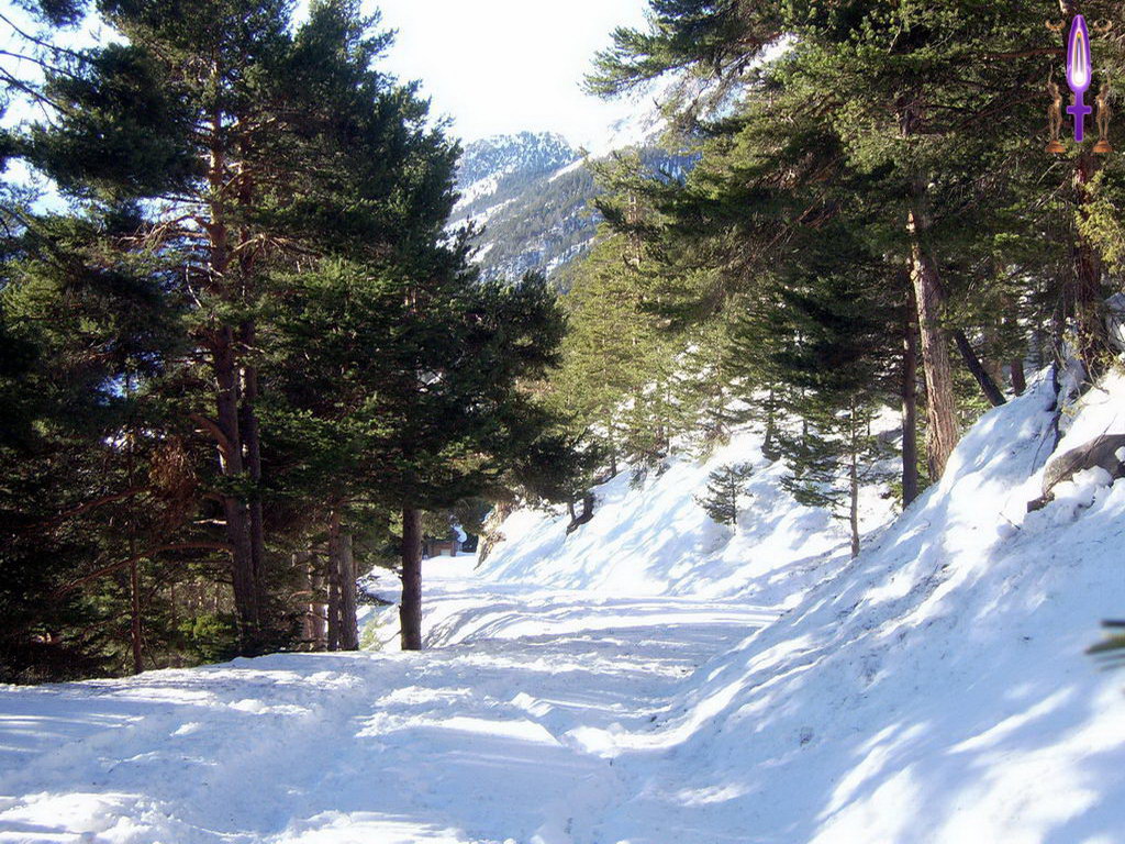 Cliquez sur la Photo pour quitter le Diaporama et Ouvrir la Photo correspondante...