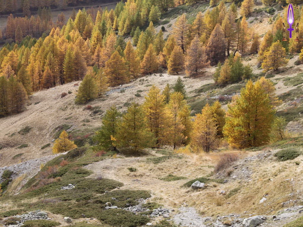 Cliquez sur la Photo pour quitter le Diaporama et Ouvrir la Photo correspondante...