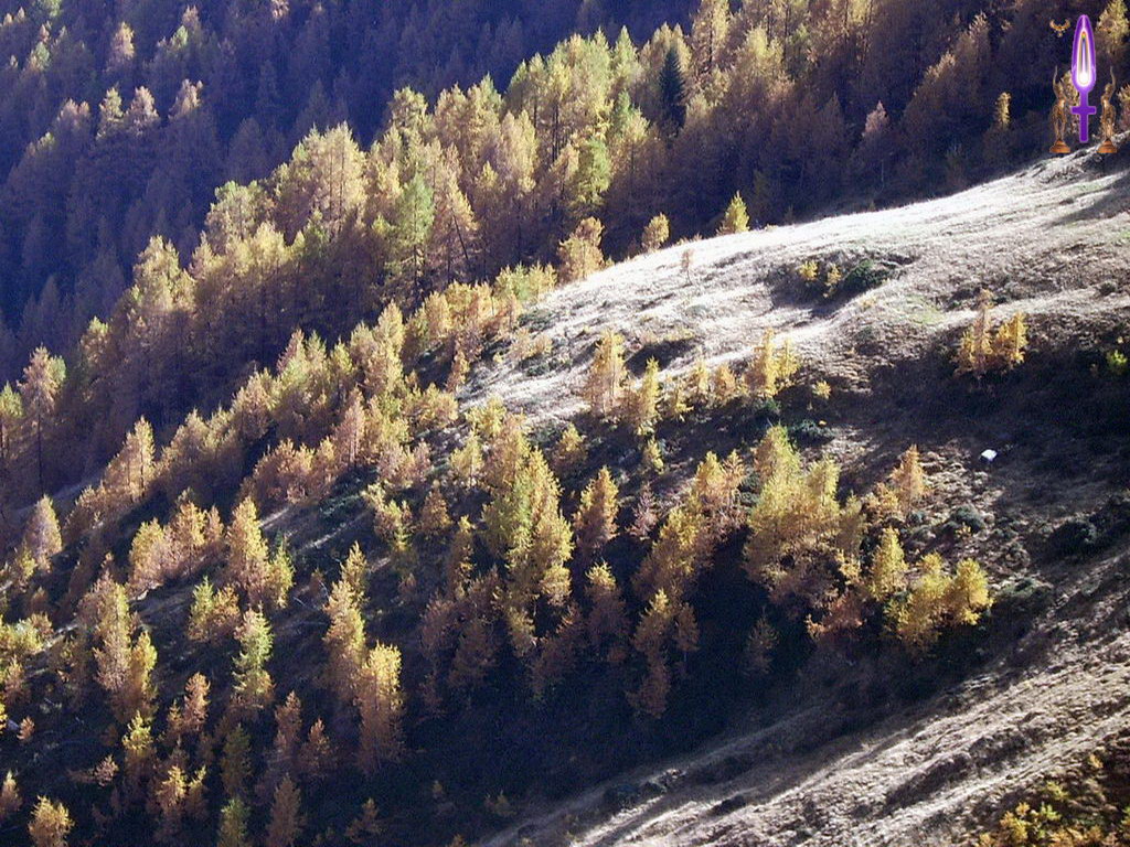 Croix de Lumière, Photo de la Série A No 100 
