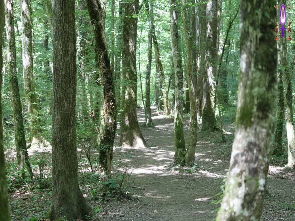Croix de Lumière, Photo de la Série A No 106 