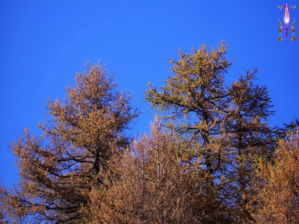 Croix de Lumière, Photo de la Série A No 108 