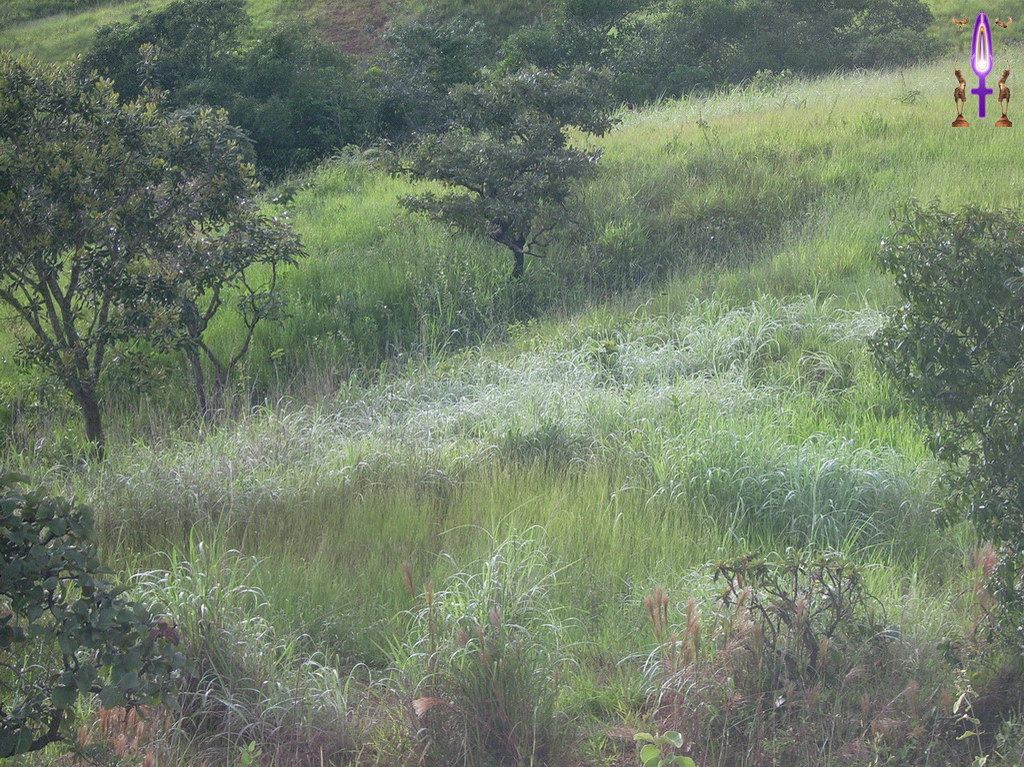 Croix de Lumière, Album d'Abadiana Photo d'Isa No 8...