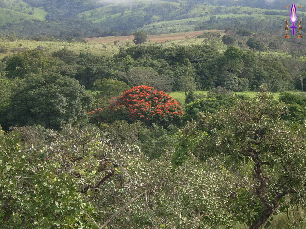 Croix de Lumière, Album d'Abadiana Photo d'Isa No 22...