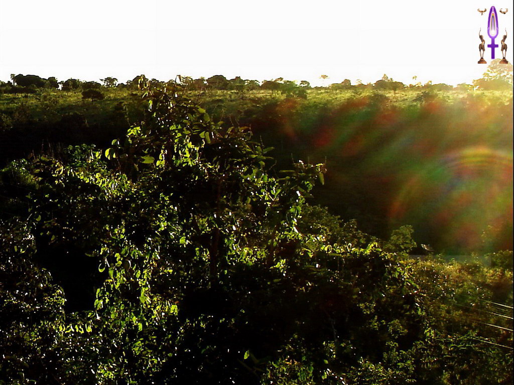Croix de Lumière, Album d'Abadiana Photo d'Isa No 78...