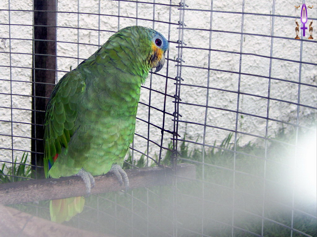 Croix de Lumière, Album d'Abadiana Photo d'Isa No 90...