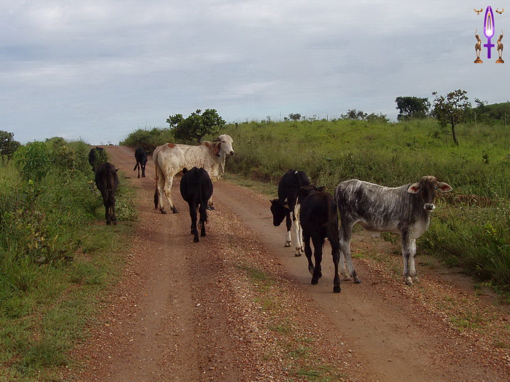 Croix de Lumière, Album d'Abadiana Photo d'Isa No 108...