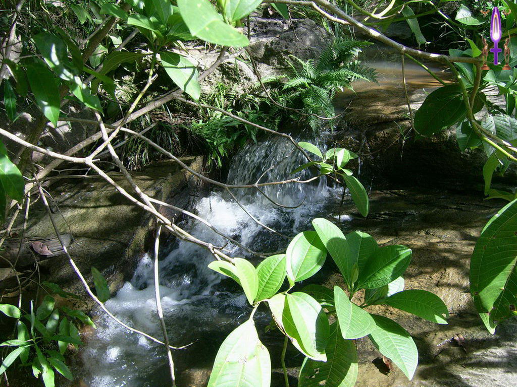 Croix de Lumière, Photo de la Série B No 1 