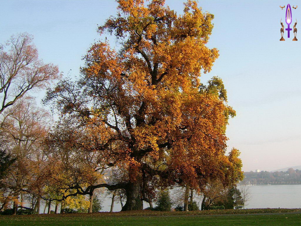 Croix de Lumière, Photo de la Série B No 4 