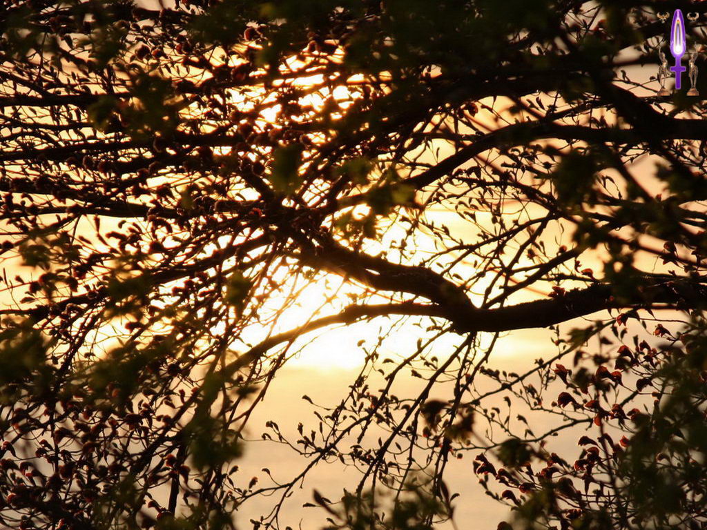 Croix de Lumière, Photo de la Série B No 7 