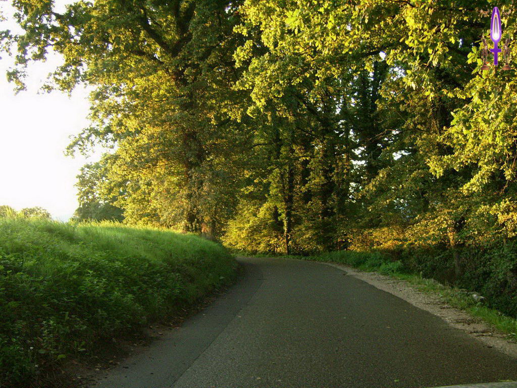 Croix de Lumière, Photo de la Série B No 8 
