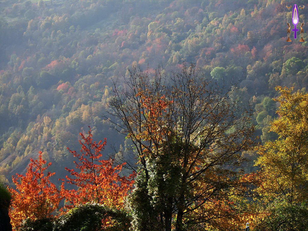 Croix de Lumière, Photo de la Série B No 16 