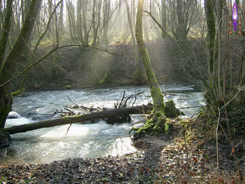 Croix de Lumière, Photo de la Série B No 18 