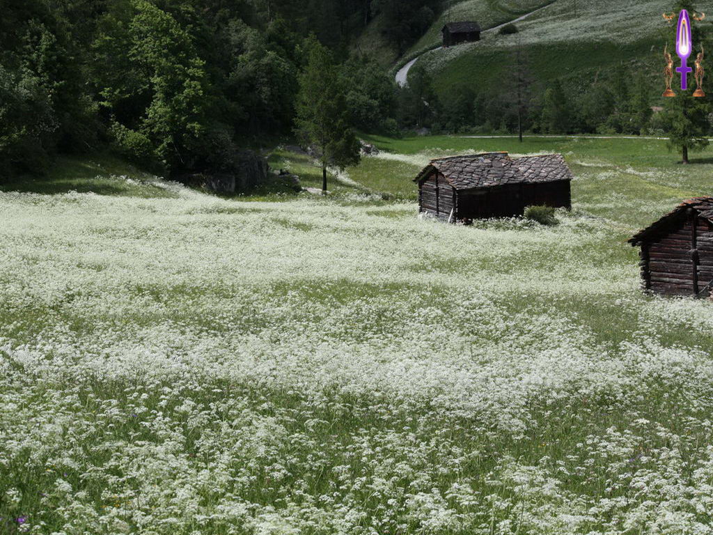 Croix de Lumière, Photo de la Série B No 24 