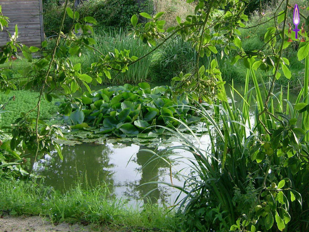 Croix de Lumière, Photo de la Série B No 25 