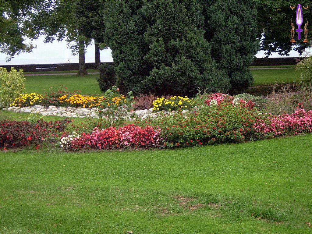 Croix de Lumière, Photo de la Série B No 29 