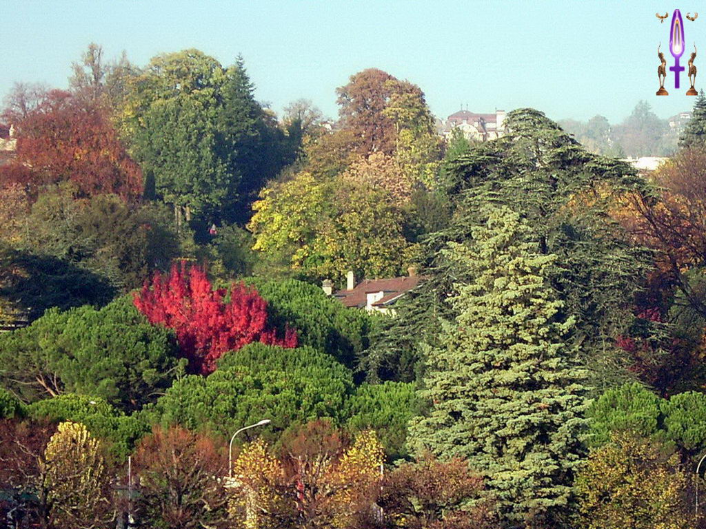 Croix de Lumière, Photo de la Série B No 31 
